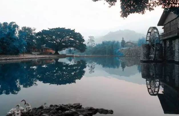 _【闽地传真】刚刚，“福建四美”入围全国50强！_【闽地传真】刚刚，“福建四美”入围全国50强！