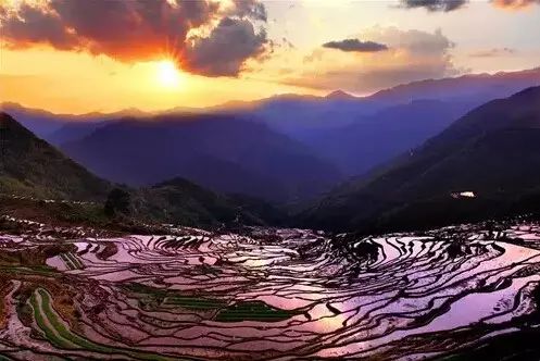 _【闽地传真】刚刚，“福建四美”入围全国50强！_【闽地传真】刚刚，“福建四美”入围全国50强！