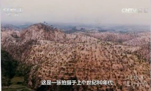 【闽商关注】不能越雷池一步！是什么让习近平给出这样严格的要求？_【闽商关注】不能越雷池一步！是什么让习近平给出这样严格的要求？_