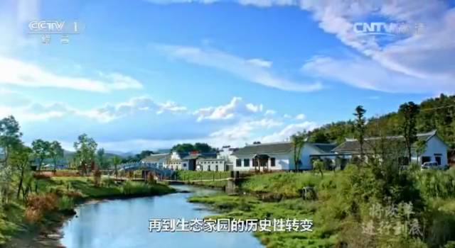 _【闽商关注】不能越雷池一步！是什么让习近平给出这样严格的要求？_【闽商关注】不能越雷池一步！是什么让习近平给出这样严格的要求？