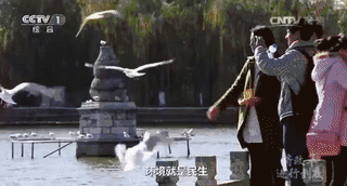 【闽商关注】不能越雷池一步！是什么让习近平给出这样严格的要求？__【闽商关注】不能越雷池一步！是什么让习近平给出这样严格的要求？