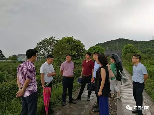 商会走访副会长企业__商会领导走访会员企业