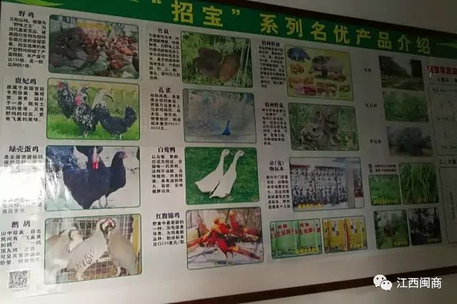 商会走访副会长企业_商会领导走访会员企业_